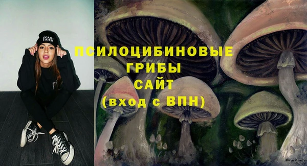 спайс Алексеевка