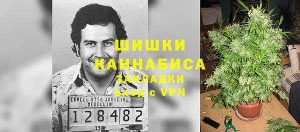 Альфа ПВП Алзамай
