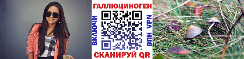 Галлюциногенные грибы Magic Shrooms  хочу наркоту  KRAKEN ТОР  Куса 